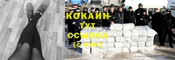 стаф Новокубанск