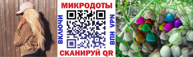 KRAKEN зеркало  Бабаево  Галлюциногенные грибы Magic Shrooms 